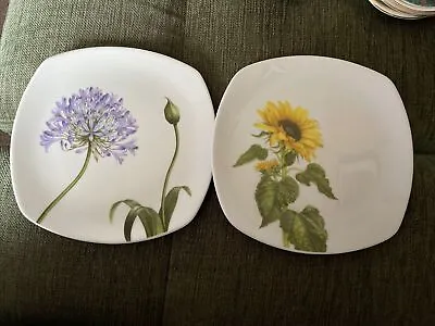 Buy Botanical Jersey Pottery Plates Anne Swan • 0.99£