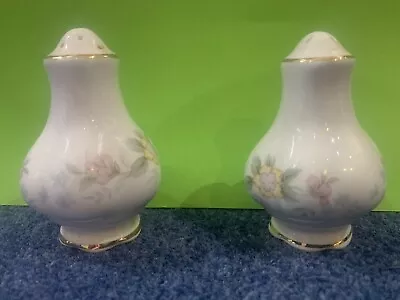 Buy Mayfair Staffordshire Alpine Salt And Pepper Shakers Floral Fine China England • 9.99£