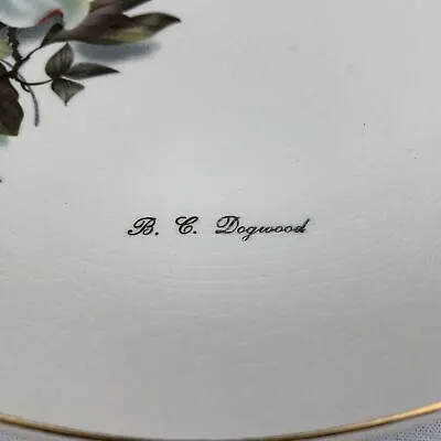 Buy CROWN CLARENCE Dogwood Floral Fine China Decorative Dinner Porcelain Plate 10” • 7.40£