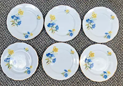 Buy Set Of 6  GAINSBOROUGH Bone China Blue & Yellow Flower  Tea Plates • 15£