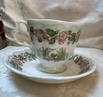 Buy Royal Doulton Brambly Hedge 4 Seasons Cup And Saucer Duo, ‘ Summer ‘ 1983, Mint. • 18£