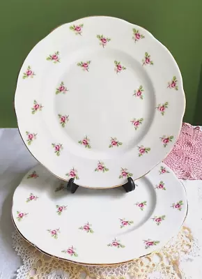 Buy 2 Vintage Duchess Bone China Luncheon Plates ~ Ditsy Rose Bud Pattern 9.5  Dia • 10£