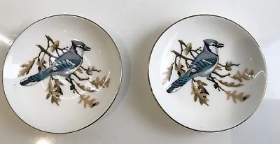 Buy Pair Of Crown Fine Bone China Butter Pat Dishes With Blue Jay • 12£
