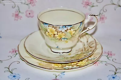Buy Superb HM Queen Paragon Woodland Flowers Bone China Tea Set Trio Cup Plate • 20£