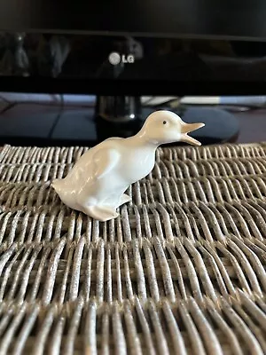Buy NAO Little Duck Figurine Ornament • 7£