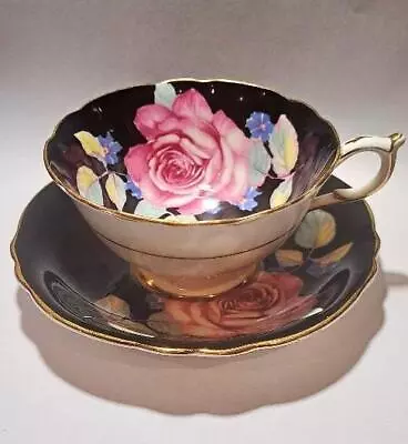 Buy Rare Vintage Paragon China Large Cabbage Rose On Black Tea Cup And Saucer • 150£