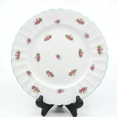 Buy ROSEBUD (Fluted) By SHELLEY Bone China 8  Salad Plate(s) 13426 Rare Ludlow Shape • 71.15£