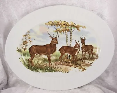 Buy Alfred Meakin Petrie Pottery Large Serving Plate Deer Design 12 Inches Long • 9£