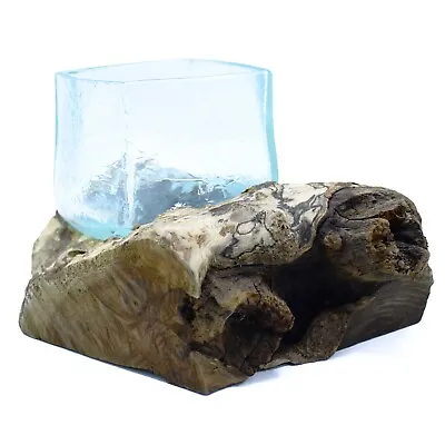 Buy Molten Crackled Glass Tank On Wood Flower Vase Tealight Holder On Wood • 26.75£