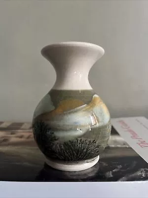 Buy Small Boscastle Pottery Posy Vase By Roger Irving Little 9cm EUC • 2.99£