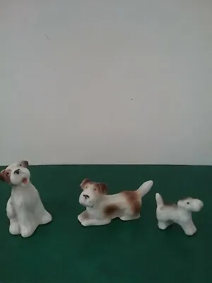 Buy Three  Fox Terrier Dogs - Minature Vintage Ceramic-poss Whymss-Plichta? • 9.99£
