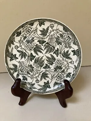 Buy Antique 18th Century English Jasper Wedgwood Creamware Dish In Botanical Pattern • 71.15£