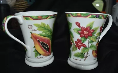 Buy Crown Trent Fine Bone China Fruit Mugs Kiwi & Papaya, Pomegranate & Fig • 41.29£