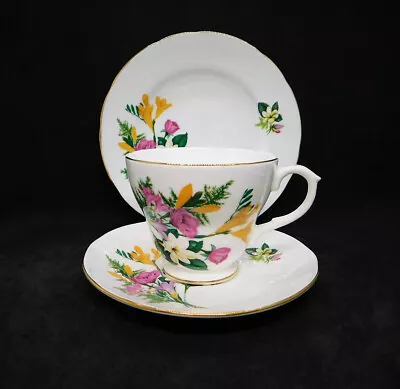 Buy Vintage Duchess Fine Bone China Floral Spray Trio Tea Cup Saucer Plate England • 15.64£