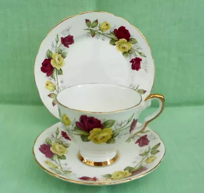 Buy Vintage Royal Stafford Summer Day Bone China Tea Trio - Cup, Saucer & Side Plate • 8.99£