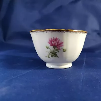 Buy Royal Adderley Fine Bone China England Handle-less Tea Cup Rare Find  • 19£