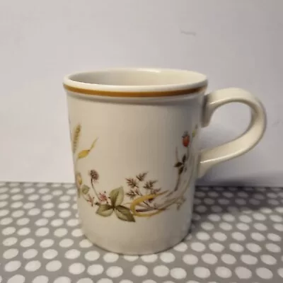 Buy Marks And Spencer  Harvest  Stoneware  Coffee/Tea Mug • 3.95£