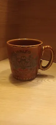 Buy Lord Nelson Pottery Welsh Commemorative Mug  • 4.95£