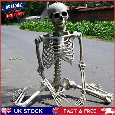 Buy Full Life Size Fake Human Skull Bones Poseable Horror Halloween Party Decoration • 15.19£