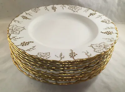 Buy Royal Crown Derby Fine Bone China Vine Gold Pattern Set Of 10 Dinner Plates • 472.49£