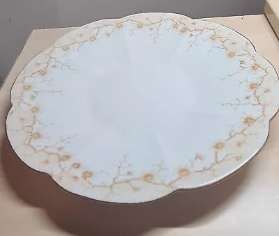 Buy Shelley Fine Bone China Dinner Plate 4080 Daisy Print On Lily Plate • 6£