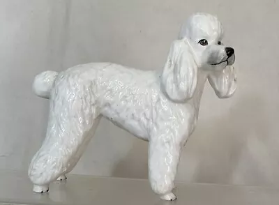 Buy Beautiful Coalport  - Poodle Dog • 5.50£