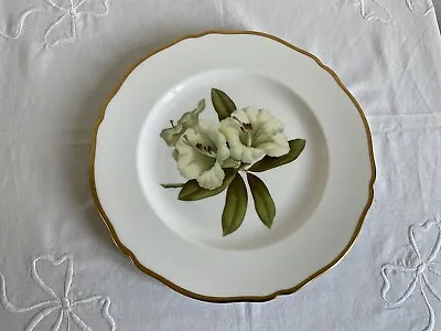 Buy Vintage Spode Rhododendron Plate  • 12£