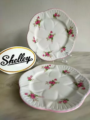 Buy Shelley Side Plate In Bridal Rose In Dainty Shape • 10£