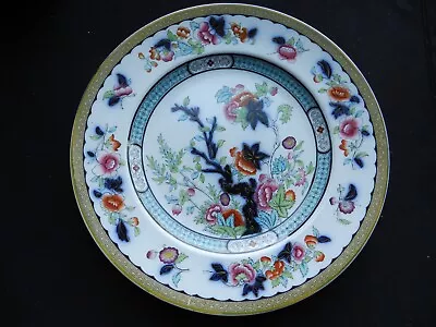 Buy Antique Ridgway Vesper Dinner Plate - 26cm • 9.99£