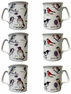 Buy Set Of 6 Bird Species Fine Bone China Mugs Set Tea Cups Coal Tit Goldfinch Wren • 24.99£