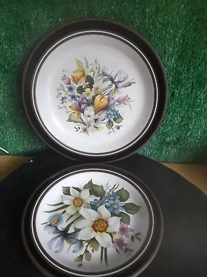 Buy Vintage Hornsea Pottery Vitramic Palatine 1976 Flower Pattern Plates  • 12.50£