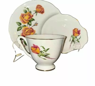 Buy Sutters Gold Tennis Set By Queen Anne Fine Bone China Yellow Roses Vintage • 39.69£