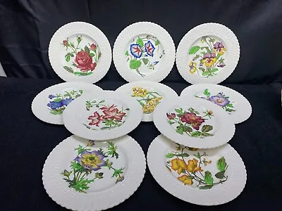 Buy Set Of 10 Designs ~ Royal Cauldon  FLOWER SERIES  England ~ Lunch Plates~ 9 1/2  • 192.09£