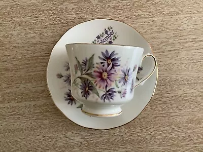 Buy Duchess China September Cup And Saucer • 5£