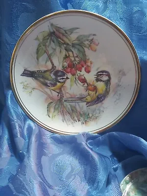 Buy Vintagee ROYAL VALE Blue Tit Birds & Red Berries Bone China 8¼  Display Plate • 5.99£