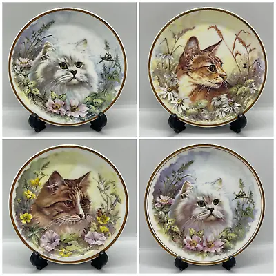 Buy Royal Vale Bone China Persian Tabby Cat Decorative Display Collectable Plate • 6.99£