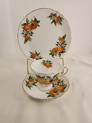 Buy Tuscan Fine English Bone China  Florida  Oranges Cup Saucer & Plate England  • 30.68£
