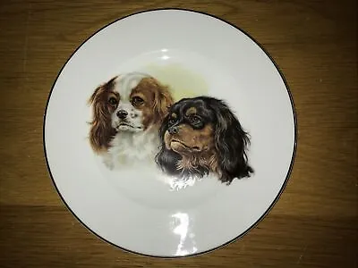Buy Vintage Fenton China Cute King Charles Spaniel Dog Decorative Plate 21cm • 2.49£
