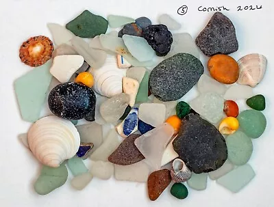Buy Cornish Sea Glass, Shells And Pottery. • 4£