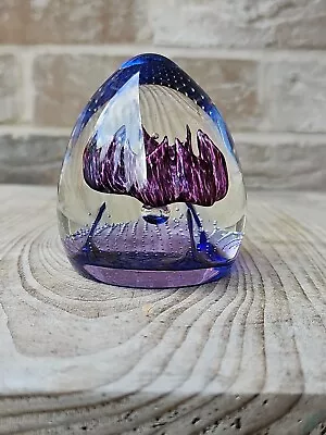Buy Caithness Cinnabar Glass  Paperweight | Limited Edition Numbered • 19.99£