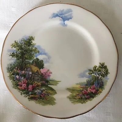 Buy Vintage Royal Vale Bone China Country Cottage  Round Side Plate. 16cm • 3.49£