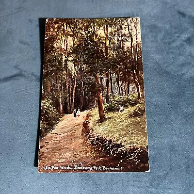 Buy Vintage Postcard In The Pine Woods Branksome Park Bournemouth 1906 Ap • 0.99£