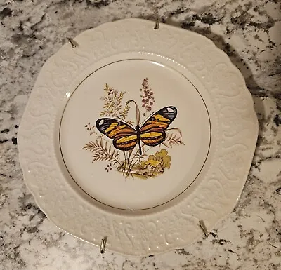 Buy Vintage Lord Nelson Pottery England Butterfly Plate • 11.51£