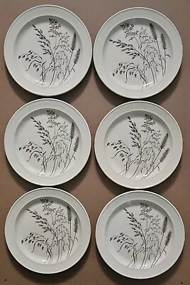 Buy Windswept J & G Meakin Pottery - 6 Dinner Plates. Vintage Made In England. VGC. • 23.99£