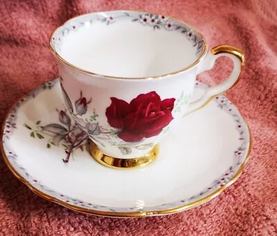 Buy Vintage Royal Stafford Bone China Roses To Remember Cup And Saucer Retro  • 4.99£