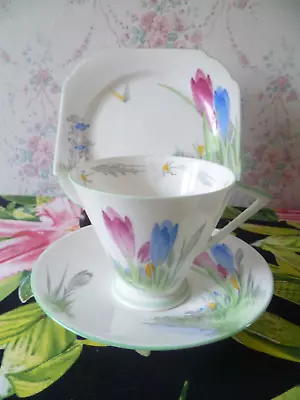 Buy Shelley English China Trio Eve Shape Tea Cup Saucer Plate Crocus Butterfly 11952 • 25£