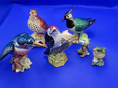 Buy 6 X Beswick ~ Lapwing ~ Kingfisher ~ Lark ~ Spotted Woodpecker ~ 2 X  Bluetits • 125£