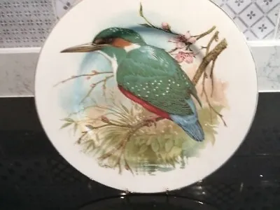 Buy Fenton Bone China Vintage Kingfisher Plate 10.5  • 4.99£