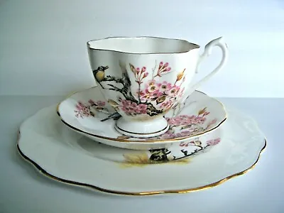 Buy Queen Anne Fine Bone China Tea Cup Saucer Dessert/Salad Plate Made In England • 28.45£