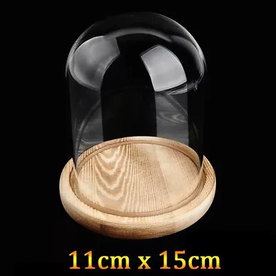 Buy Transparent Glass Dome With Wooden Base Cloche Bell Jar DIY Decor Display Stand • 9.99£